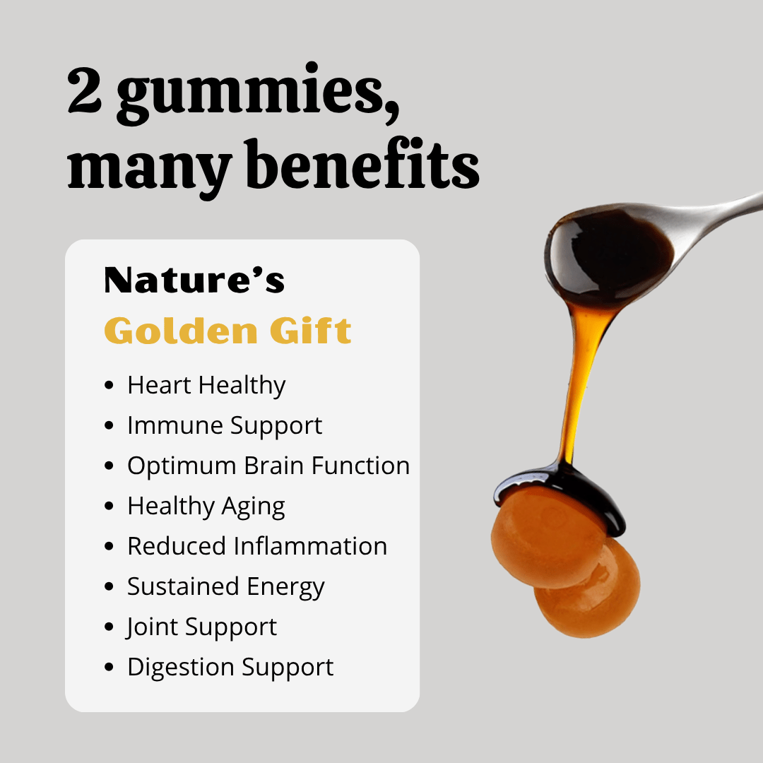 Nexavale™ – Pure Himalayan Shilajit Gummies - Nexavale